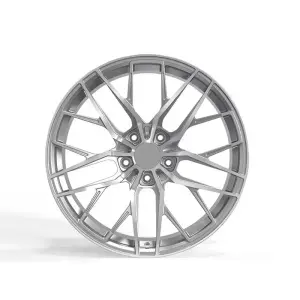 Ковані диски DH-Style V2 R21 для Porsche