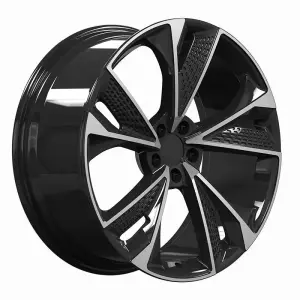 Ковані диски DH-Style V10 R24 для Audi