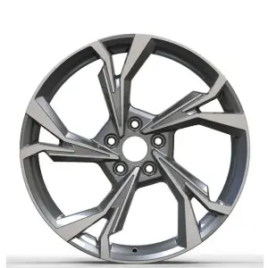 Ковані диски DH-Style V7 R24 для Volkswagen