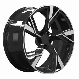 Ковані диски DH-Style V20 R24 для Audi