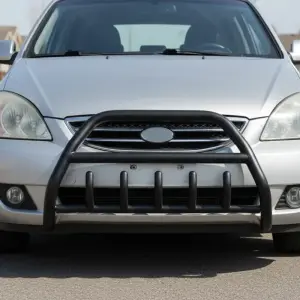 Кенгурятник WT003 Black (нерж) для KIA Carens 1999–2012