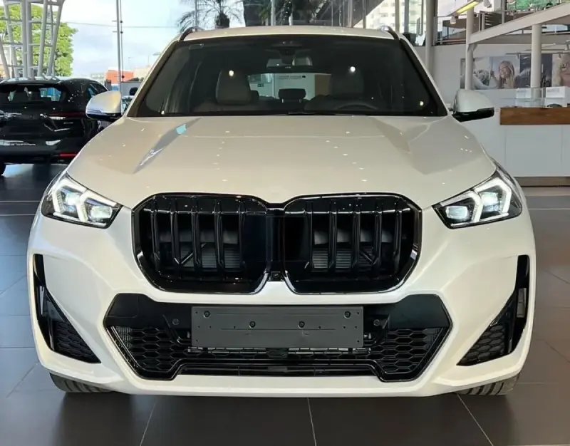 Ніздрі 1 Bar (чорний глянець) для BMW X1/iX1 (U11) 2022–