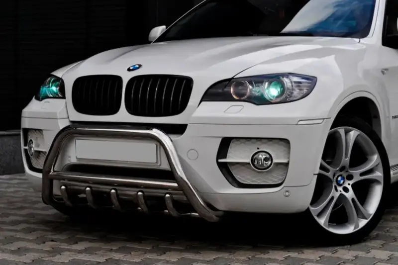 Кенгурятник WT003 (нерж.) для BMW X6 E71 2008–2014