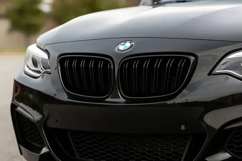 Ніздрі M-Look (чорний глянець) для BMW 2 серія F22/F23 2014–2021
