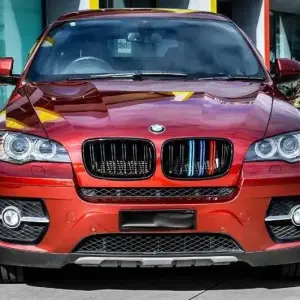 Ніздрі M-Look (M-Color) для BMW X6 E71 2008–2014