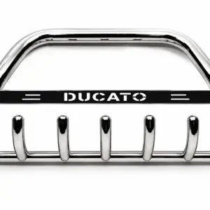 Кенгурятник WT004 (нерж) для Fiat Ducato 2006–2025