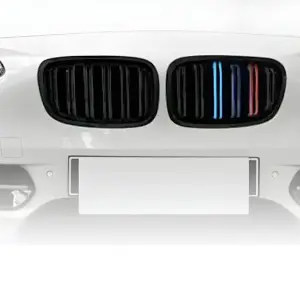 Ніздрі M-Look (2011-2014, M-Color) для BMW 1 серія F20/F21 2011–2019