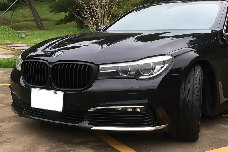 Ніздрі 1 Bar (2016-2019, чорний матовий) для BMW 7 серія G11/G12 2015–2022