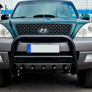 Кенгурятник WT003 Black (нерж) для Hyundai Terracan 2001–2007