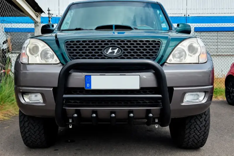 Кенгурятник WT003 Black (нерж) для Hyundai Terracan 2001–2007