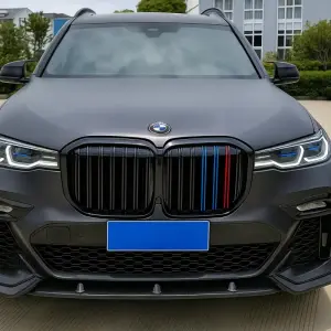 Ніздрі M-Look (2019-2022, M-Color) для BMW X7 G07 2019–