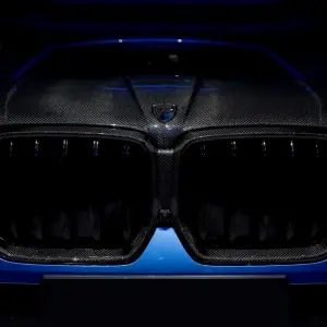 Обведення решітки LRT (2023+, Карбон) для BMW X6 G06 2019–2027