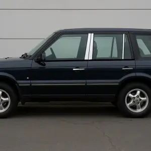 Молдинг дверних стійок (6 шт, нерж) для LandRover Range Rover II P38A 1997–2002