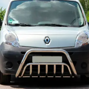 Кенгурятник WT002 (нерж.) для Renault Kangoo 2008–2020