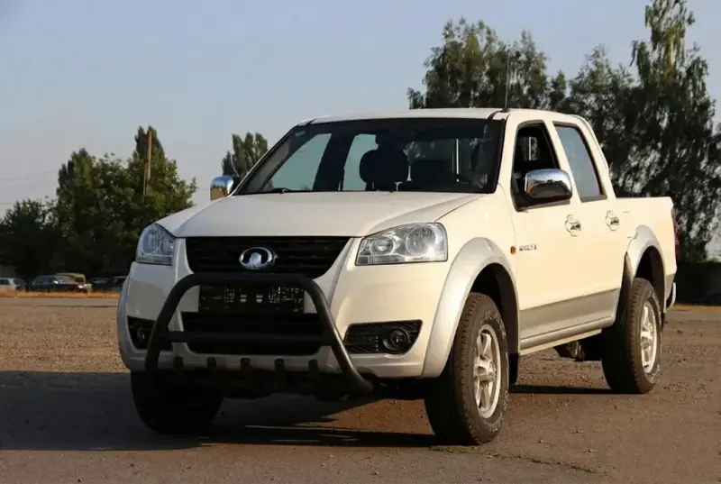 Кенгурятник WT003 Black (нерж.) для Great Wall Wingle 5 2006–