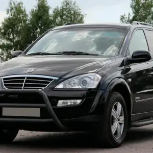 Кенгурятник WT022 Black (нерж) для SsangYong Kyron 2005–2014