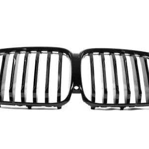 Ніздрі 1 Bar LED (2023+, чорний глянцевий) для BMW X5 G05 2019–2026