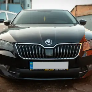 Зимова накладка на решітку (2015-2019, нижня) для Skoda Superb 2015–2024